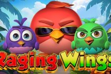 Raging Wings
